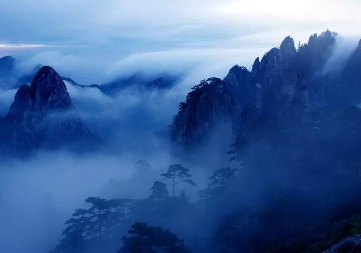 小猫钓鱼游戏龙王版有船